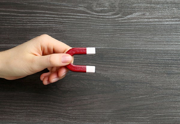 science activities for preschool 