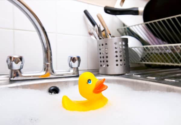 science activities for preschool 